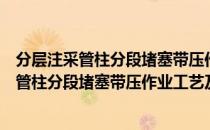 分层注采管柱分段堵塞带压作业工艺及装置（关于分层注采管柱分段堵塞带压作业工艺及装置介绍）