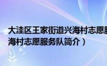 大洼区王家街道兴海村志愿服务队（关于大洼区王家街道兴海村志愿服务队简介）