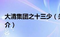 大清集团之十三少（关于大清集团之十三少简介）