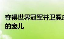 夺得世界冠军并卫冕成功之后张伟丽成了商界的宠儿