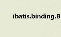 ibatis.binding.BindingException