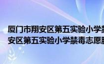 厦门市翔安区第五实验小学禁毒志愿服务队（关于厦门市翔安区第五实验小学禁毒志愿服务队介绍）