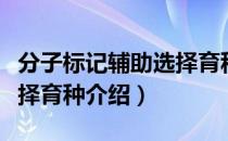 分子标记辅助选择育种（关于分子标记辅助选择育种介绍）