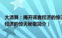 大清算：揭开谎言经济的惊天秘密（关于大清算：揭开谎言经济的惊天秘密简介）