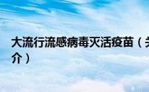 大流行流感病毒灭活疫苗（关于大流行流感病毒灭活疫苗简介）