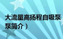 大流量高扬程自吸泵（关于大流量高扬程自吸泵简介）