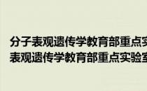 分子表观遗传学教育部重点实验室 东北师范大学（关于分子表观遗传学教育部重点实验室 东北师范大学介绍）