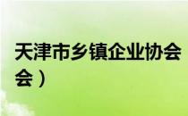 天津市乡镇企业协会（关于天津市乡镇企业协会）