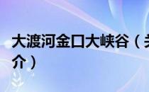 大渡河金口大峡谷（关于大渡河金口大峡谷简介）