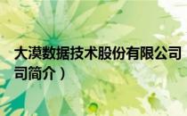 大漠数据技术股份有限公司（关于大漠数据技术股份有限公司简介）