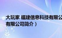 大玩家 福建信息科技有限公司（关于大玩家 福建信息科技有限公司简介）