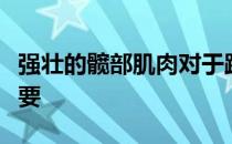 强壮的髋部肌肉对于跑者提升跑步效率至关重要