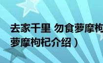 去家千里 勿食萝摩枸杞（关于去家千里 勿食萝摩枸杞介绍）