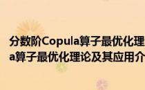 分数阶Copula算子最优化理论及其应用（关于分数阶Copula算子最优化理论及其应用介绍）