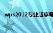 wps2012专业版序号（wps2012专业版）