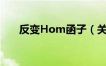 反变Hom函子（关于反变Hom函子）