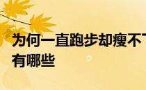 为何一直跑步却瘦不下来如何减肥减肥的运动有哪些