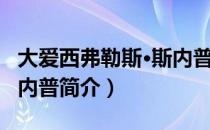 大爱西弗勒斯·斯内普（关于大爱西弗勒斯·斯内普简介）