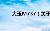 大玉M737（关于大玉M737简介）