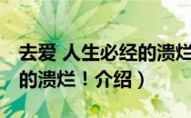 去爱 人生必经的溃烂！（关于去爱 人生必经的溃烂！介绍）