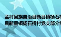 孟村回族自治县新县镇杨石桥村党支部（关于孟村回族自治县新县镇杨石桥村党支部介绍）