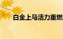 白金上马活力重燃线上赛安全助备战