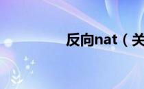 反向nat（关于反向nat）