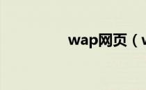 wap网页（wap站长网）