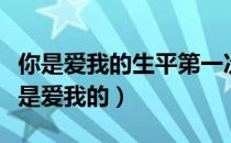 你是爱我的生平第一次放下矜持是什么歌（你是爱我的）