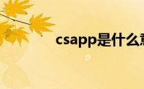 csapp是什么意思（csapp）