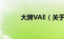 大牌VAE（关于大牌VAE简介）