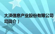 大漠信息产业股份有限公司（关于大漠信息产业股份有限公司简介）