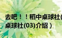 去吧！！稻中桌球社(03)（关于去吧！！稻中桌球社(03)介绍）