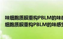 味细胞质膜重构PBLM的味感觉信号编码实验研究（关于味细胞质膜重构PBLM的味感觉信号编码实验研究介绍）