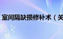 室间隔缺损修补术（关于室间隔缺损修补术）