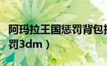 阿玛拉王国惩罚背包扩充在哪（阿玛拉王国惩罚3dm）