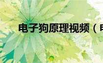 电子狗原理视频（电子狗原理是什么）