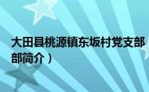 大田县桃源镇东坂村党支部（关于大田县桃源镇东坂村党支部简介）