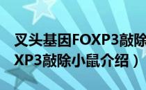 叉头基因FOXP3敲除小鼠（关于叉头基因FOXP3敲除小鼠介绍）