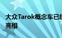 大众Tarok概念车已经在圣保罗国际汽车展上亮相