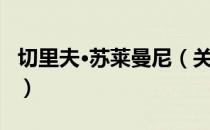 切里夫·苏莱曼尼（关于切里夫·苏莱曼尼介绍）