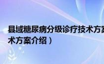 县域糖尿病分级诊疗技术方案（关于县域糖尿病分级诊疗技术方案介绍）