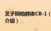 叉子园柏群体CB-1（关于叉子园柏群体CB-1介绍）