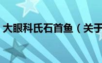 大眼科氏石首鱼（关于大眼科氏石首鱼简介）