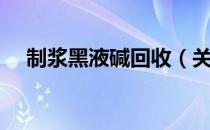 制浆黑液碱回收（关于制浆黑液碱回收）