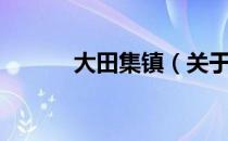 大田集镇（关于大田集镇简介）