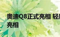 奥迪Q8正式亮相 轻度混合动力3.0 TDI首次亮相