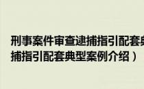 刑事案件审查逮捕指引配套典型案例（关于刑事案件审查逮捕指引配套典型案例介绍）