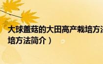 大球盖菇的大田高产栽培方法（关于大球盖菇的大田高产栽培方法简介）