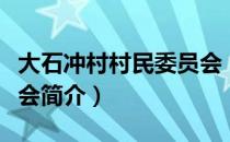 大石冲村村民委员会（关于大石冲村村民委员会简介）